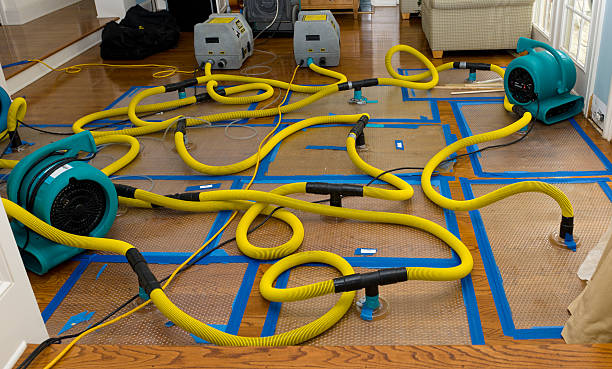 Professional Water Damage Repair technician working in Panhandle, TX